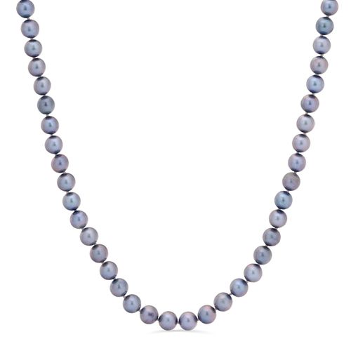 Colar de Pérolas Akoya Cinza 105962
