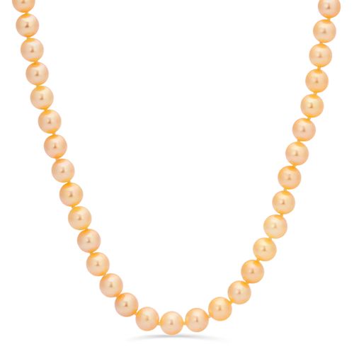 Colar de Pérolas Akoya Douradas 128391