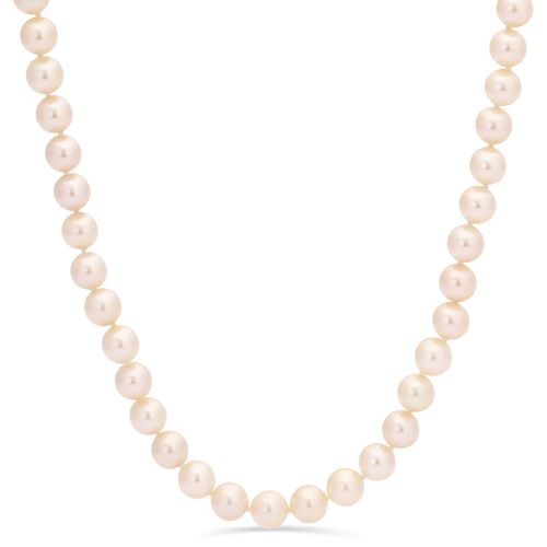 Colar em Ouro Branco de Pérolas Akoya Brancas 128413