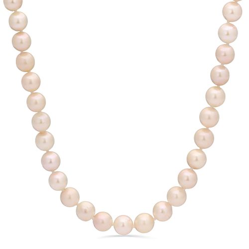 Colar em Ouro Amarelo 14 k com Pérola Akoya Branca 128415