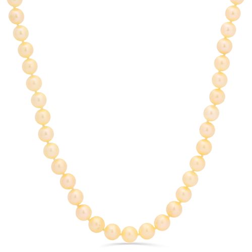 Colar de Pérolas Akoya Douradas 128392