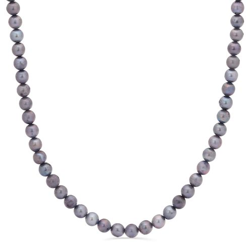 Colar em Ouro Amarelo com Pérolas Akoyas Cinzas 153059